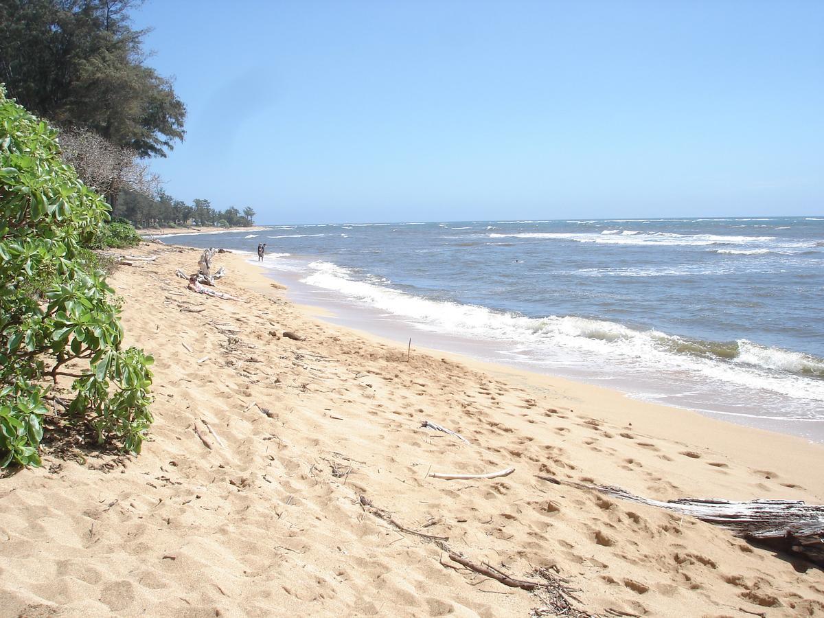 Islander on the Beach Unit 244 Kapa'a Exterior foto