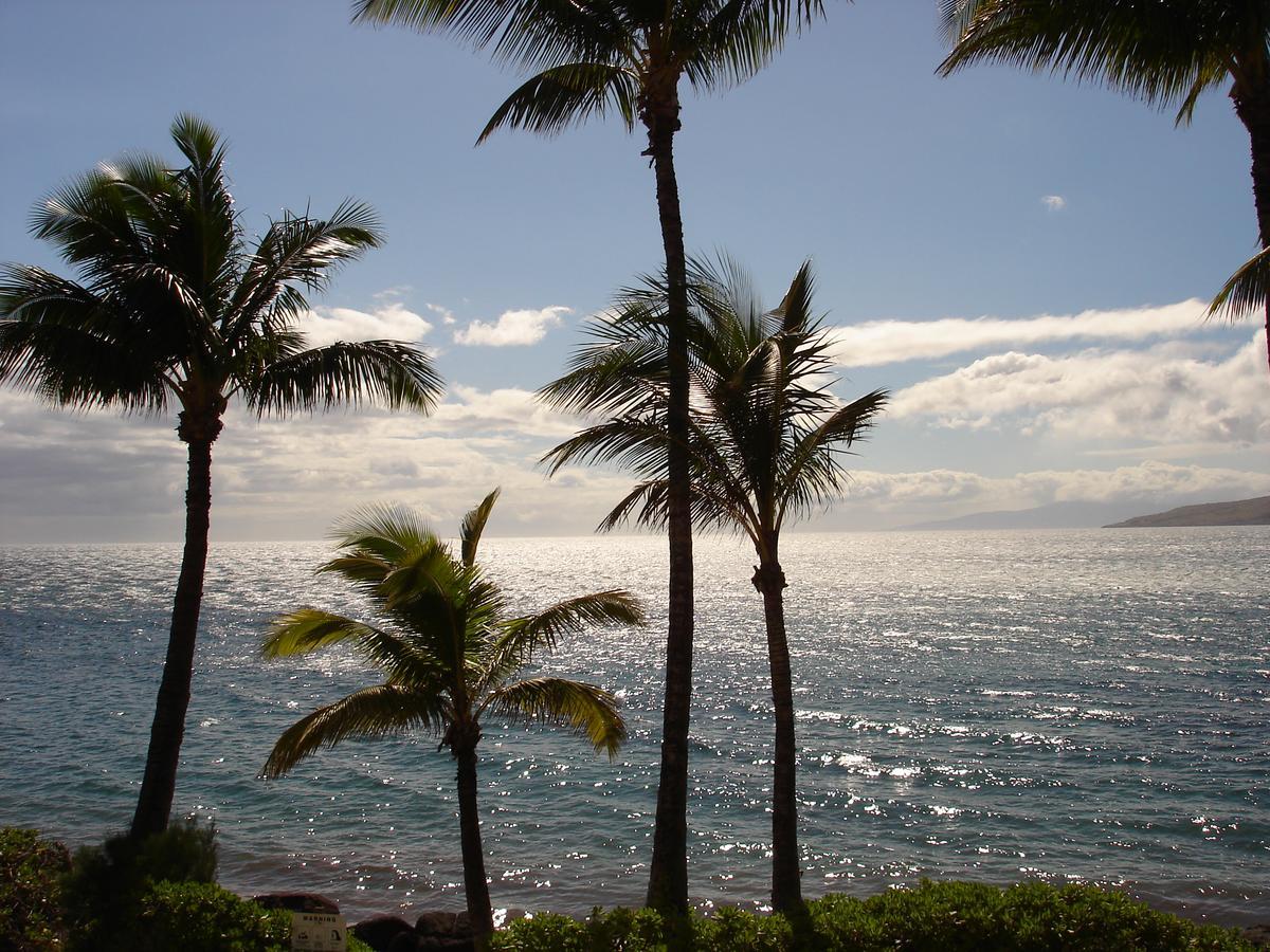 Islander on the Beach Unit 244 Kapa'a Exterior foto